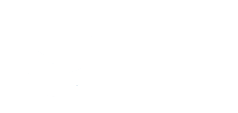 北京掌数信息技术有限公司